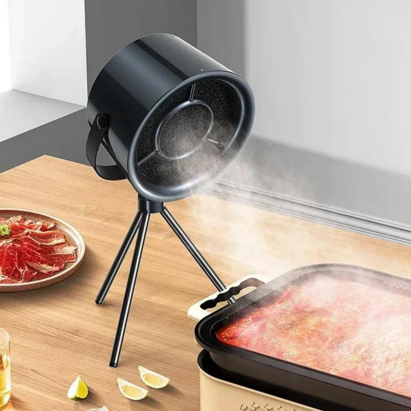 portable range hood